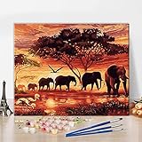 Oil Hand Painting Elephant DIY Paint by Numbers Elephant Herd Painting on Canvas for Adults Beginner...