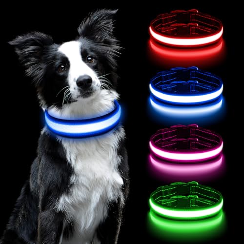 AUAUY Collare Luminoso per Cani Ricaricabile USB, LED Regolabile Impermeabile Con 3 Modalità D'ardore, per Taglia Media (40-50 cm, Blu)