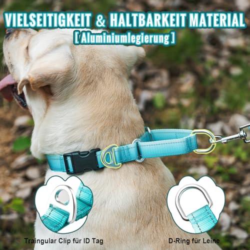 Arblina Martingale Halsband, Reflektierendes Zugstopp Halsband Hunde für Große Mittlere und Kleine Hunde, Nylon Hundehalsband Anti Zug, Anti-Pull Collar for Dogs, Türkis, M