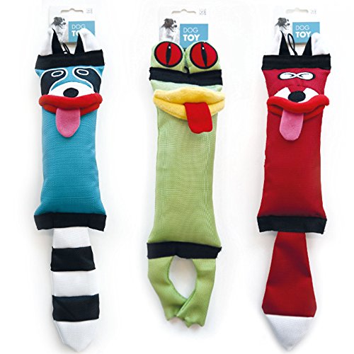 M-Pets Waldo Köpekler İçin Sevimli Rakun