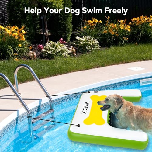 Dogpoolramp472x354extralargeinflatabledogboatrampdogonwaterrampupto255lbsdogwaterrampforboatpoollake  Cucciolini Doodles   cucciolini doodles