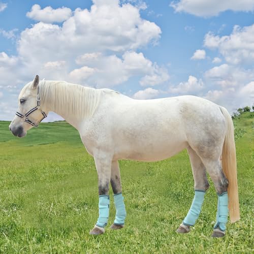 Image of Horse Fly Boots, Mesh Fly Boots for Horse Set of 4, Equine Leg Protection