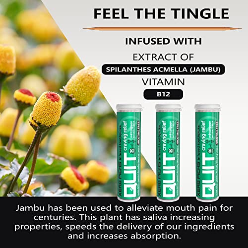 Image of Xero Picks Infused Flavored Toothpicks to Help Quit Smoking - Nicotine Free - 60 Picks - 3 Pack - Wintergreen - Non-GMO Kosher Vegan