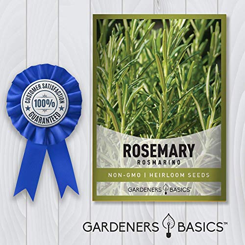 Rosemary-Seeds-for-Planting-It-is-A-Great-Heirloom-Non-GMO-Herb-Variety-Great-for-Indoor-and-Outdoor-Gardening-by-Gardeners-Basics Rosemary-Seeds-for-Planting-It-is-A-Great-Heirloom-Non-GMO-Herb-Variety-Great-for-Indoor-and-Outdoor-Gardening-by-Gardeners-Basics
