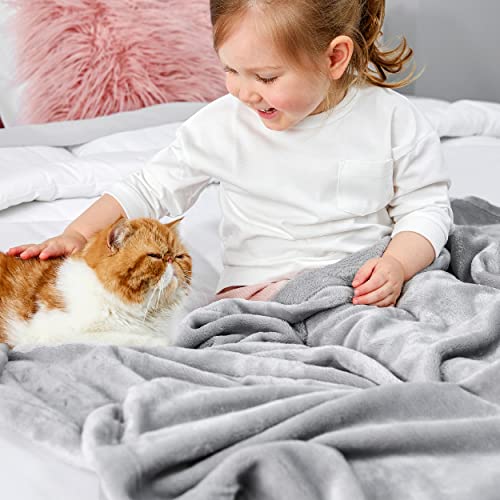 Image of Bedsure GentleSoft Bedding Fleece Blanket for Girls and Boys - Soft Cozy Cute Small Throw Blankets for Travel, 43x55 Inches, Light Grey