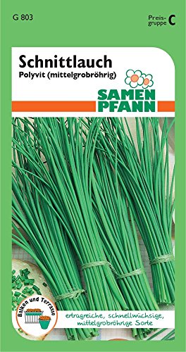 Samen Pfann G803 Schnittlauch Polyvit (Schnittlauchsamen)