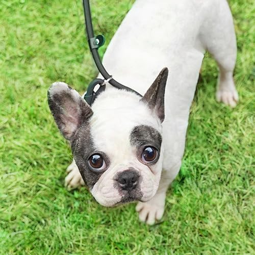 2 Stücke Retrieverleine mit Zugstopp, Trainingsleine für Hunde, 150cm Slip Lead, 2in1 Halsband Hund und Leine, für Kleine Mittlere Hunde (Schwarz und Rot)