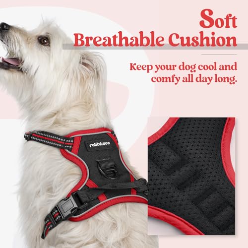 Image of rabbitgoo Dog Harness No Pull with 2 Leash Clips, Adjustable Soft Padded, Reflective Oxford No Choke Pet Vest with Easy Control Handle for Puppy, Black & Red, XS