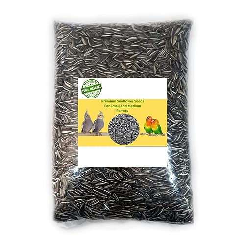 CybeXis Sunflower Seeds Bird Food (Small Size)-[1Kg]