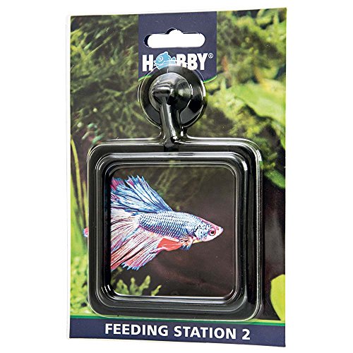 Hobby 61304 Feeding Station 2, eckig, 10 x 10 cm, schwarz