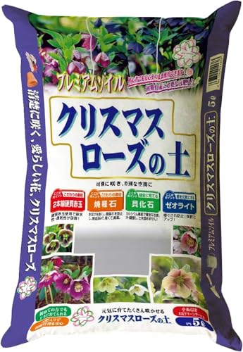 {O[T[rX NX}X[Y̓y 5L