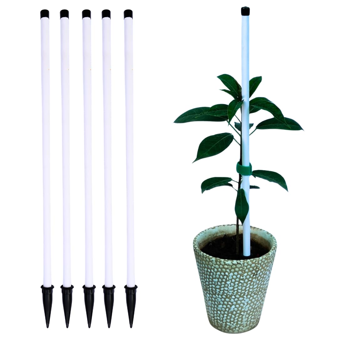 Trelliskart 18 Inches Plant Support Sticks Garden Plant Support | Trellis for Creepers, Stem Support Poles | Structure Plant Stakes for Indoor & Outdoor- Pack of 5, White Color (B0D9FT3P5S) Amazon Price History, Amazon Price Tracker