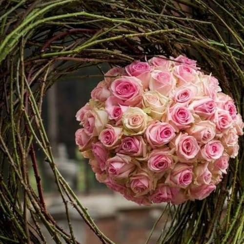 Image of OASIS Pack of 1 Floral Foam Spheres | Green Round Foam Spheres Balls for Fresh & Artificial Flowers | Wet & Dry Use | Ideal for Wedding, Party & Home Floral Arrangements - Netted (150 mm)