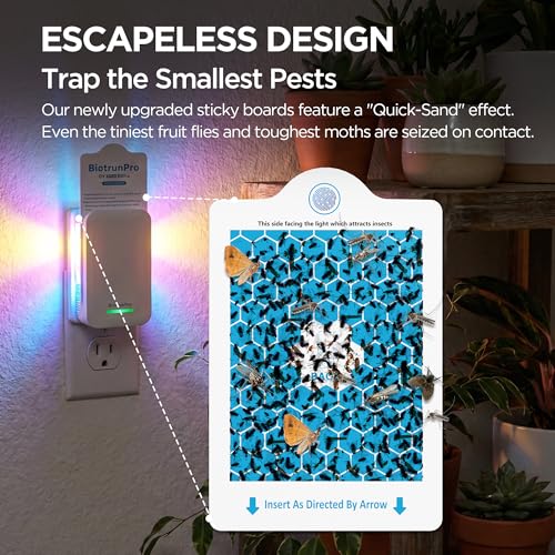 Flying Insect Trap with 5 Refills - Use Code YREVA4BN - Image 4