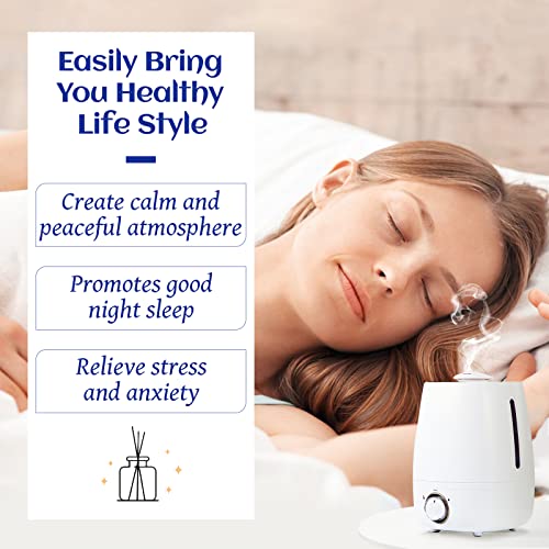 Hiqili Wintergreen Essential Oil,100% Pure Natural Therapeutic Grade,For Diffuser-Inhalation Therapy - 3.38 Fl Oz #TOP2