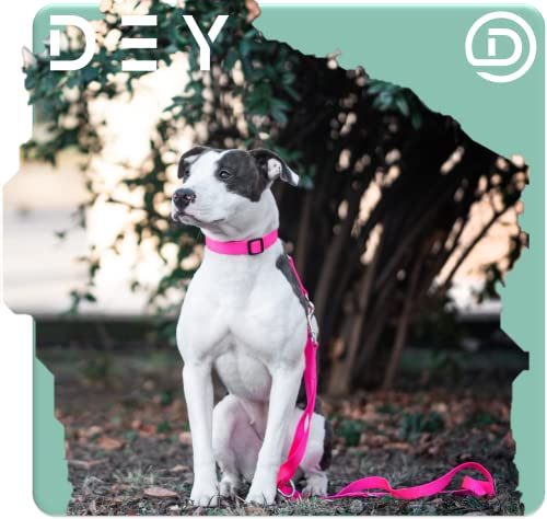DEY - Premium Hundeleine Nylon 2m | 3fach Verstellbar | für Kleine, Mittelgroße u. Große Hunde | viele Farben |Doppelleine Hund Katze Welpe | Schleppleine |Führ-Leine | Welpenleine | Schwarz, S