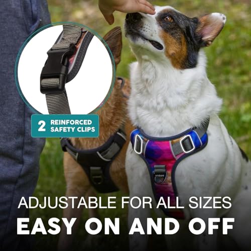 Embark No Pull Dog Harness, Reflective Adjustable Training Vest, No Choke | Adjustable straps fit all dog breeds with sturdy hooks; 360° reflective trim, soft padded Harness Design for All Dogs - Image 6
