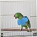 Milisten 2pcs Pet Recovery Collar Bird Cone Collar for Parrots Biting Bird Protection Lightweight Comfortable for Parakeets