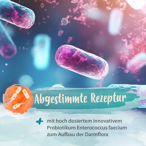 Ida Plus Diar-Stopp Tabs - Kautabletten gegen Hunde-Durchfall - Durchfallmittel - Hund-Darmflora aufbauen mit Probiotika - Darmsanierung - Stoppt Durchfall - 120 Tabletten