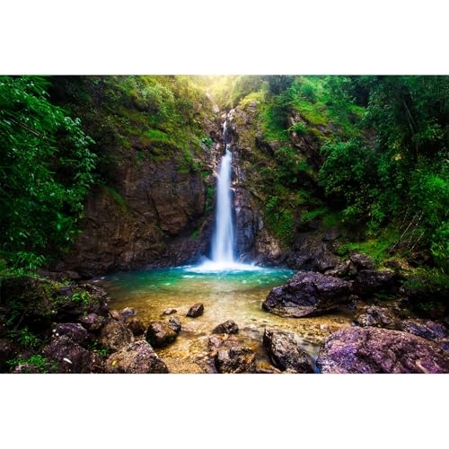 Image of Waterfall Aquarium Background Deep Forest Natural Landscape Terrarium Background Falls Green Jungle Plants Huge Rocks Fish Tank Background Waterfall Rock Reptile Habitat Background Vinyl 30x12in