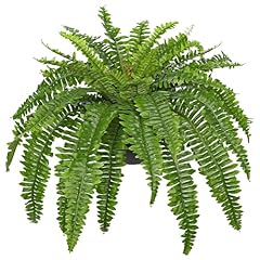 Black Pot - Green Large