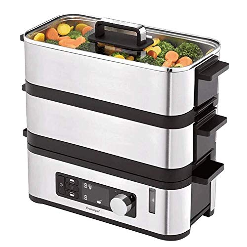 HYL Vaporeras para pasta 2 Nivel eléctrico pequeño vapor de alimentos, Acero inoxidable vaporera, Digital Microondas vapor del alimento, compacto bebé vapor del alimento, portátil chino mini vapor del