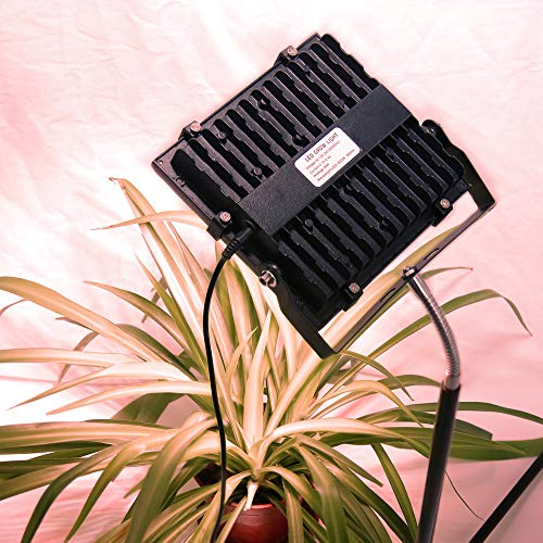 Dommia Floor Lamp LED Grow Lights, 35W Floor Stand Plant Light with Flexible Gooseneck, Full Spectrum Sunlight Plant Growing Lamp for Indoor Plants, Gardening, Hydroponics - Thumbnail 4
