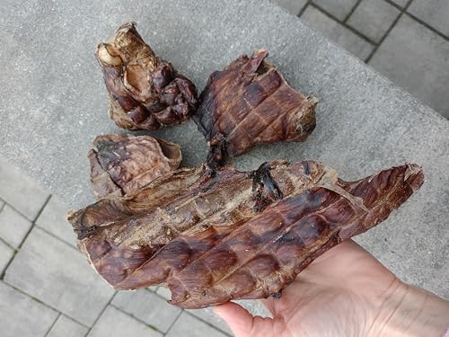 Lucze, Getrocknete Pferdelungen für Hund 500g, 100% Natürlicher Kausnack, Hypoallergen, Zahnpflege für Hunde, Langanhaltender Kauspaß, Leckerli für Empfindliche Hunde, Ohne Künstliche Zusätze