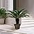 Plant Planters Pots Set of 4 Pack 9 Inch, Plastic Flower Pot for Indoor Plants with Drainage Holes & Trays, Resin Decorative Container Sets with Saucer for House Outdoor Garden Planters Dark Gold