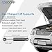 ECCPP 2pcs Front Hood Lift Supports Struts Rods Shocks for BMW 323Ci 323i 325Ci 325i 325xi 328Ci 328i 330Ci 330i 330xi 1998 1999 2000 2001 2002 2003 2004 2005 2006