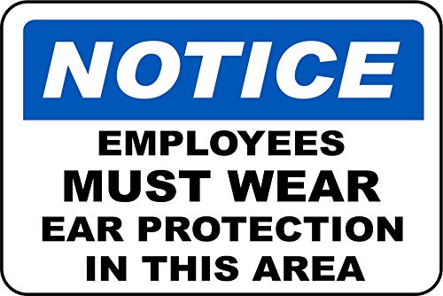 INDIGOS UG   Pegatinas   Seguridad   Advertencia   Airborne Particles & Loud Noise Sign 254mmx177   Decal for Office   Oficina   Empresa   Escuela
