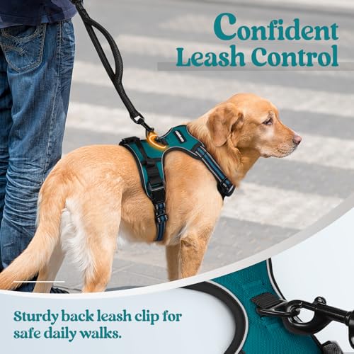 Image of rabbitgoo Dog Harness No Pull with 2 Leash Clips, Adjustable Soft Padded, Reflective Oxford No Choke Pet Vest with Easy Control Handle for Large Dogs, Blue Coral, L