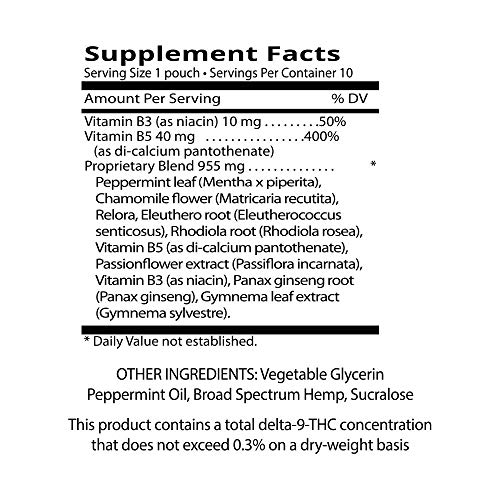 TeaZa Energy Smokeless Alternative with Hemp | Quit Chewing and Dipping Snuff | Nicotine and Caffeine Free Herbal Energy Pouch (Wintergreen Chill, 1 Pack)