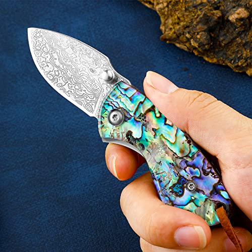 Esaure Mini Folding Pocket Knife - Compact And Cool Damascus Steel Pocket Knife, Liner Lock, Push Button Knife With Keychain Hole, Edc Knife For Men Women, For Camping, Hiking, Everyday Carry.(Fk2) #TOP3