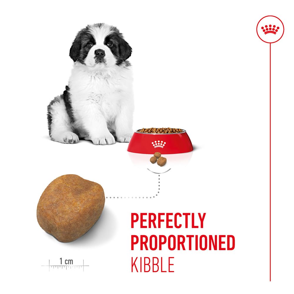 Royal Canin Giant Puppy 34 Welpenfutter, 15 kg - Hundefutter