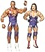 Price comparison product image Mattel WWE Jason Jordan and Chad Gable (American Alpha) Action Figures (2 Pack)