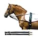 Intrepid International Nylon Side Reins with Elastic