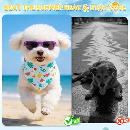EXPAWLORER Dog Cooling Bandana 4 Pack - Reversible Summer Dog Bandanas by EXPAWLORER - Used condition - Image 6