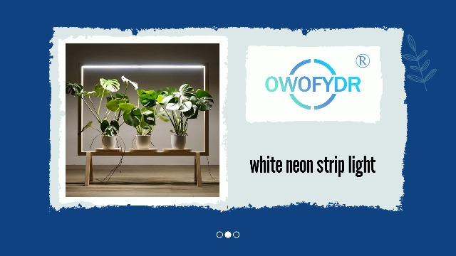 Image of LED Neon Lights Flexible White 16.4FT /5M 12V DC Waterproof Flexible LED NEON Light for Indoors Outdoors Decorm