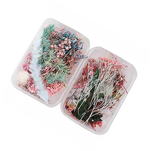 Amosfun 2 Caixas Flores Secas De Aromaterapia Nail Art Flores Secas Acessórios De Bricolage Flores S