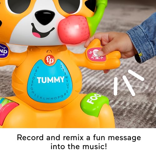 Fisher-Price Juguete de aprendizaje para bebés con diseño de tigre Bop & Groove con música y luces para mayores de 9 meses, versión en inglés del Reino Unido, compatible solo con artículos de Link