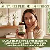 Ambioph B0H7Q5GPF7 lato 4