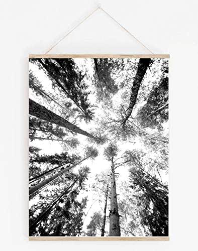 Amazon.com: Abstract Tree Trunks in Forest Contemporary Wall Art ...