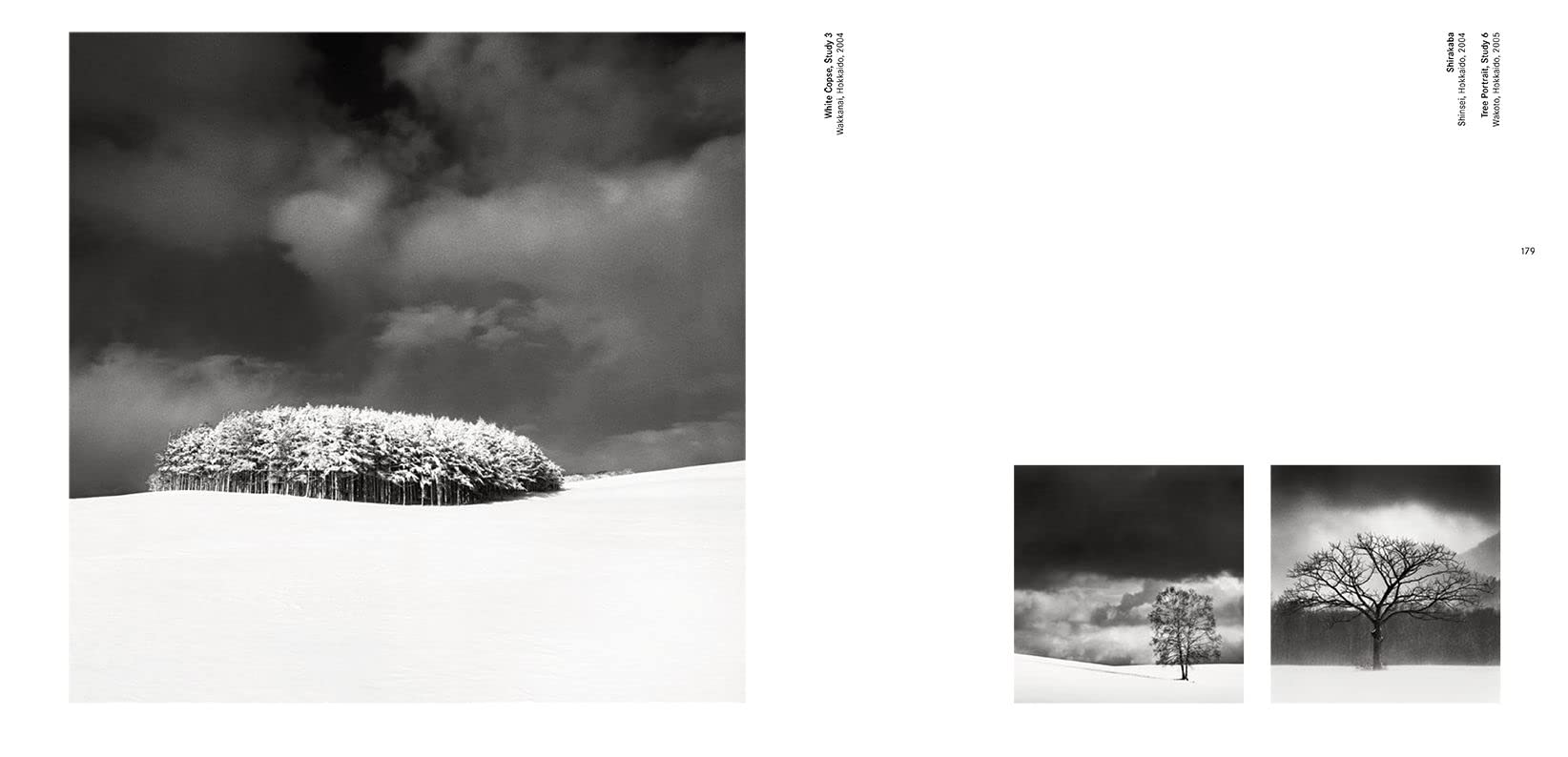 Forms of Japan: Michael Kenna (deutsche Ausgabe)