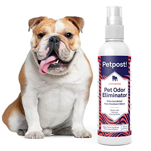 Petpost | Odor Eliminator Spray for Dogs & Cats - Naturally Effective Deodorant and Bad Smell Killer - for Spraying Your Pet or Around The Home (8oz.)