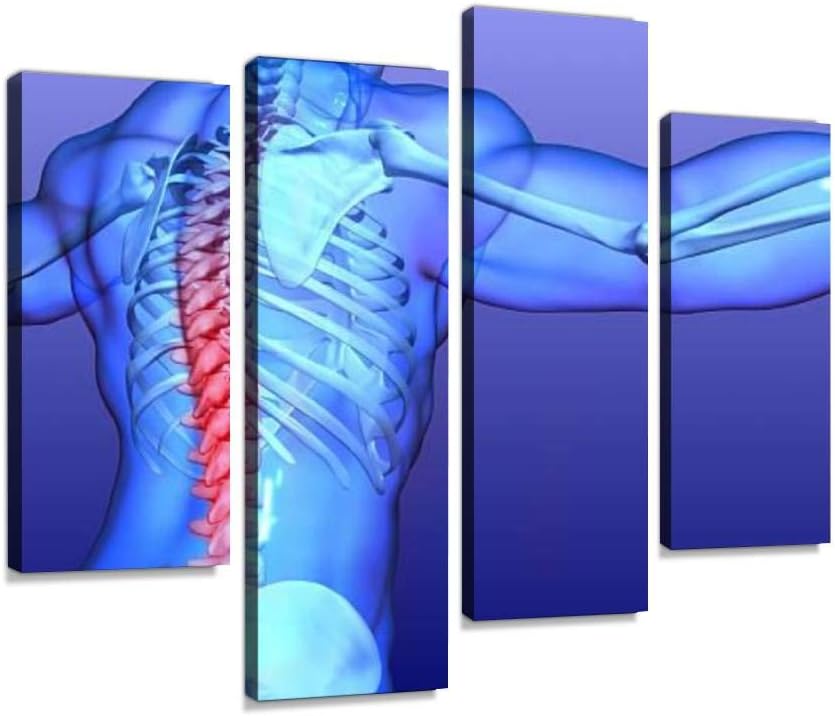 D1eep Canvas Wall Art Painting Pictures Human Spine musculatures and Pictures Modern Artwork Framed Posters Wall Decor for Living Room Ready to Hang Home Decor 4PANEL