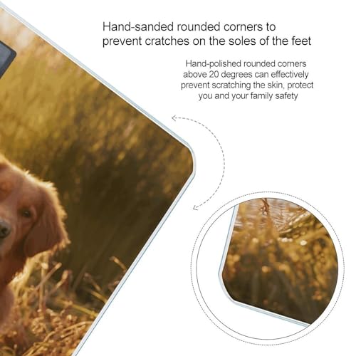 Báscula digital para baño con diseño de dos golden retrievers miniatura 4