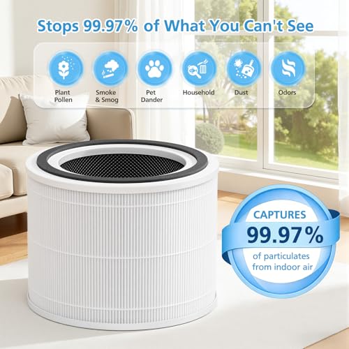 Image of 12070 Replacement Filter for Clorox Turbo Air Purifiers 11070, 2 Pack | 12070 Filters for Clorox 11070 Air Purifier, for Medium Rooms Up to 1,000 Sq Ft, 11070 Filters for Dust, Wildfire Smoke
