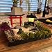 Zen Garden Japanese Decor with Gate, Lamp and Tools - Serene Indoor/Outdoor Meditation Space Decoration Kit (White)