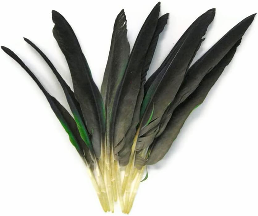 Parrot Feathers, Green and Grey Amazon Parrot Wing Feathers (Rare) - 4 Pieces